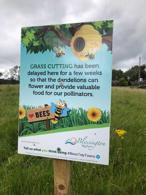TTBlessington pollinator sign2-1